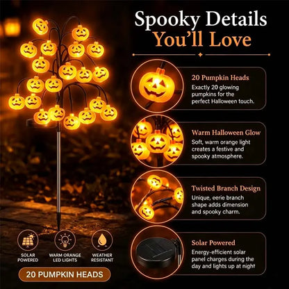 Solar Pumpkin Stake Lights, 20‑Head Halloween Garden Lights with 8Lighting Modes & Auto On/Off, Solar‑Operated Pumpkin Accent Lights, Festive Spooky Season Decor, Ideal for Yard Lawn Path, Fall Festival & Halloween Backyard Party Decors